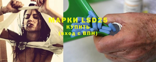 хмурый Карпинск