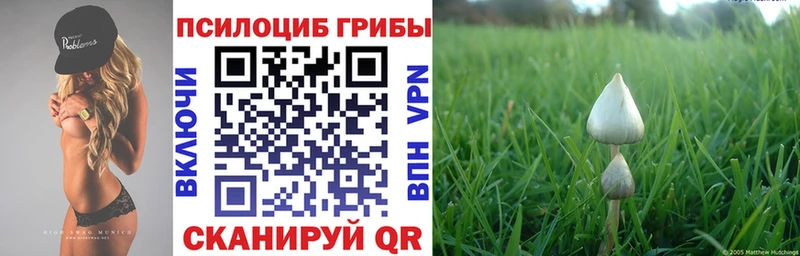 Купить где  Боровск  Псилоцибиновые грибы GOLDEN TEACHER 